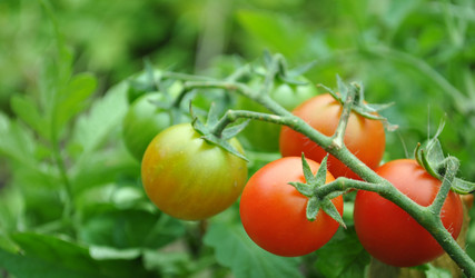 Similar image 1564934