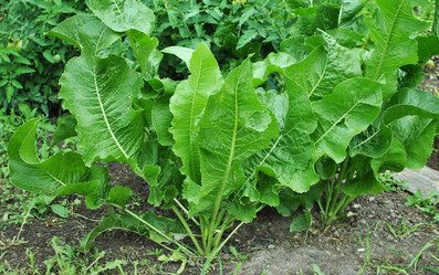 Similar image 1564935