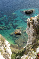 Similar image 1564951