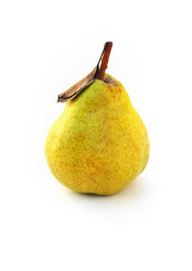 Similar image 1564953