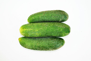 Similar image 1564955