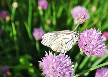 Similar image 1564957