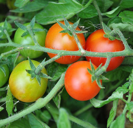 Similar image 1564959