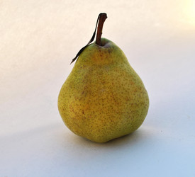 Similar image 1564960