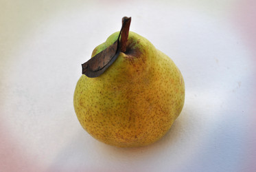 Similar image 1564962