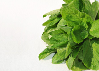 Similar image 1564966