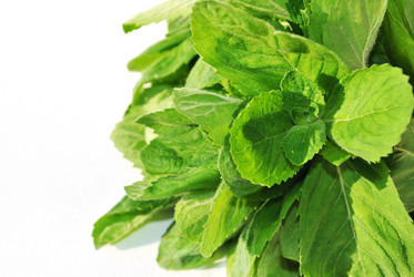 Similar image 1564968