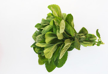 Similar image 1564969