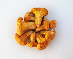 Similar image 1564971