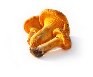 Similar image 1564973