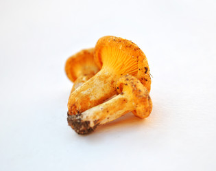 Similar image 1564974