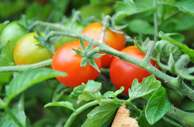 Similar image 1564975