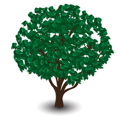 Similar image 1565068