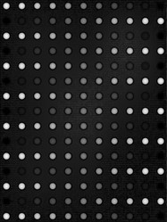 Similar image 1565240