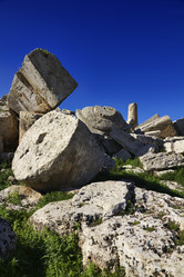 Similar image 1565405