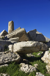 Similar image 1565411