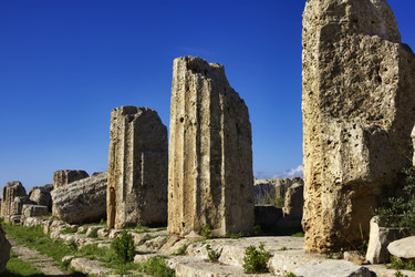 Similar image 1565452