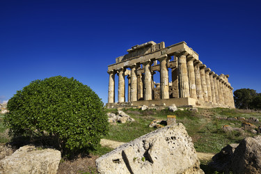 Similar image 1565515