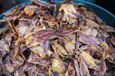 Similar image 1565526