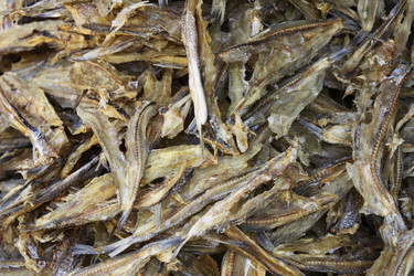 Similar image 1565531