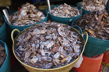 Similar image 1565534