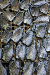 Similar image 1565542