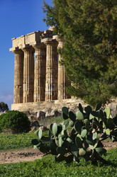 Similar image 1565598