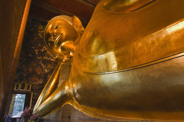 Similar image 1565599