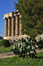 Similar image 1565605