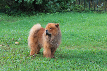 Similar image 1565627