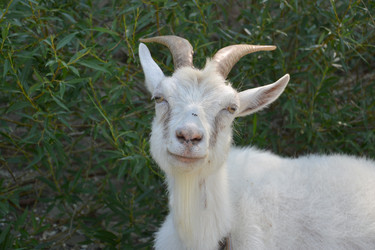 Similar image 1565630