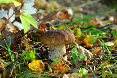 Similar image 1565633