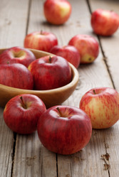 Similar image 1565647