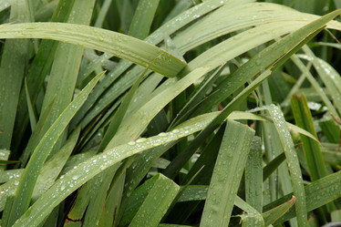 Similar image 1565659