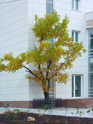 Similar image 1565669