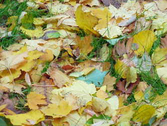 Similar image 1565671