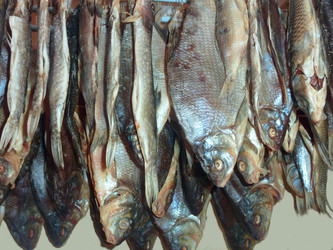 Similar image 1565673