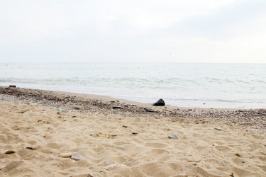 Similar image 1565747