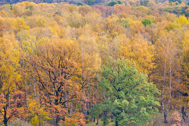 Similar image 1565799