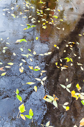 Similar image 1565801