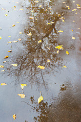 Similar image 1565802