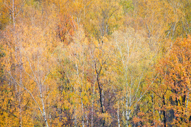 Similar image 1565805