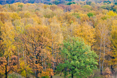 Similar image 1565807