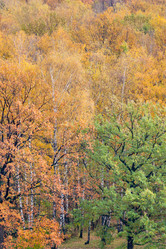 Similar image 1565808