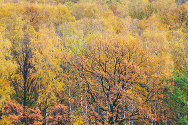 Similar image 1565810