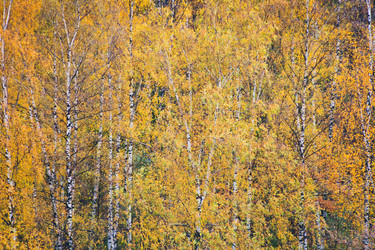 Similar image 1565812