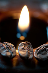 Similar image 1565819