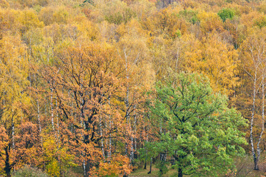 Similar image 1565823