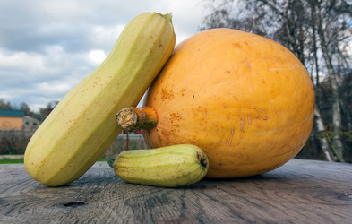 Similar image 1565830