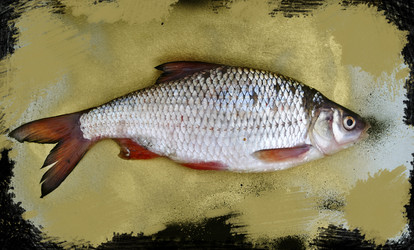 Similar image 1565843